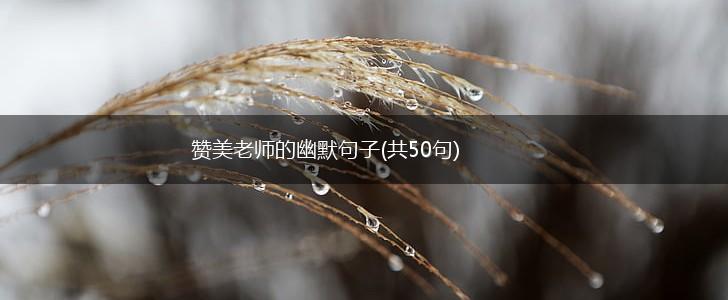赞美老师的幽默句子(共50句),第1张