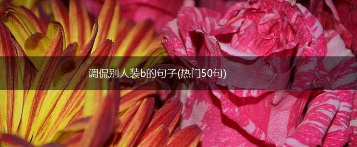 调侃别人装b的句子(热门50句),第1张
