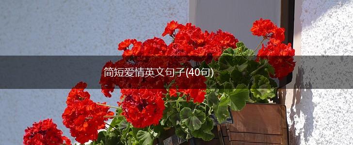 简短爱情英文句子(40句),第1张