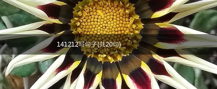 141212写句子(共20句),第1张