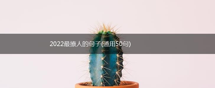 2022最撩人的句子(通用50句),第1张