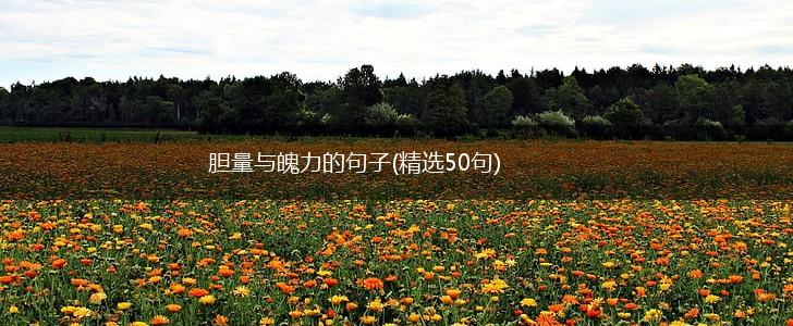胆量与魄力的句子(精选50句),第1张