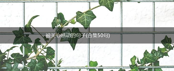 被关心感动的句子(合集50句),第1张
