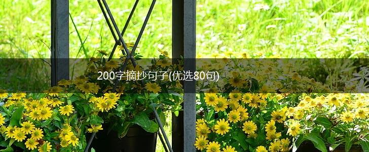 200字摘抄句子(优选80句),第1张