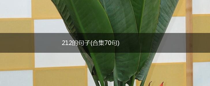 212的句子(合集70句),第1张