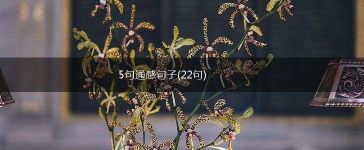 5句通感句子(22句),第1张