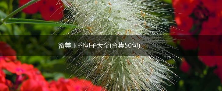 赞美玉的句子大全(合集50句),第1张