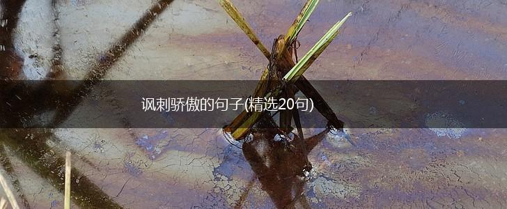 讽刺骄傲的句子(精选20句),第1张