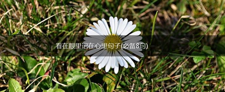 看在眼里记在心里句子(必备8句),第1张