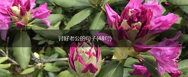 讨好老公的句子(48句),第1张