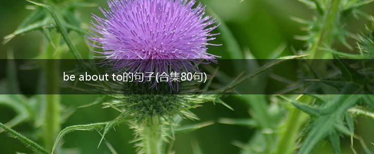 be about to的句子(合集80句),第1张