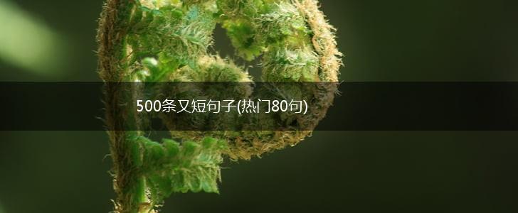 500条又短句子(热门80句),第1张