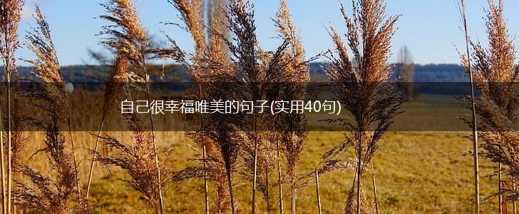自己很幸福唯美的句子(实用40句),第1张