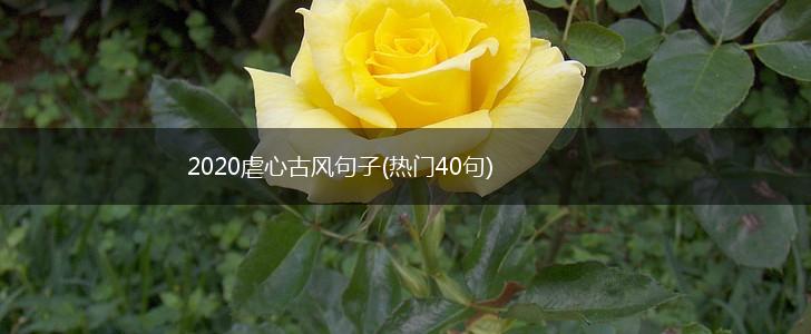 2020虐心古风句子(热门40句),第1张