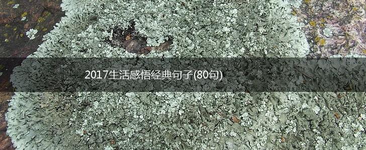 2017生活感悟经典句子(80句),第1张