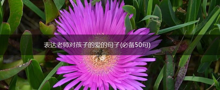 表达老师对孩子的爱的句子(必备50句),第1张