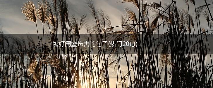 被好闺蜜伤害的句子(热门20句),第1张