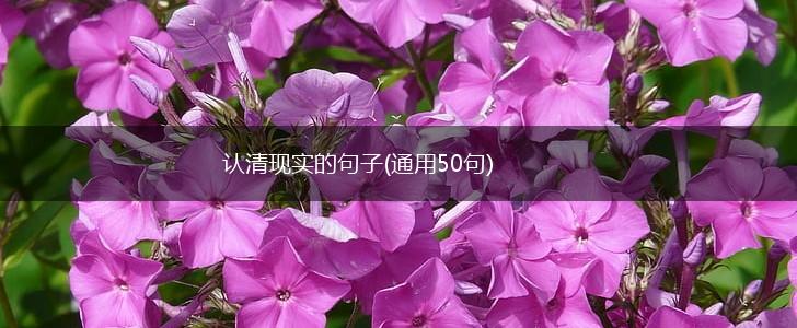 认清现实的句子(通用50句),第1张