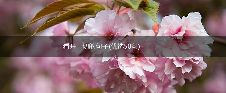 看开一切的句子(优选50句),第1张