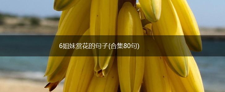 6姐妹赏花的句子(合集80句),第1张