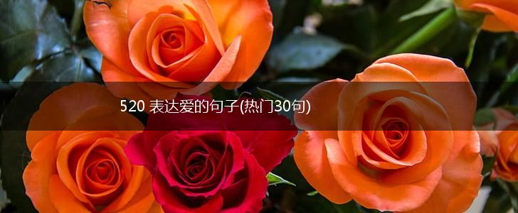 520 表达爱的句子(热门30句),第1张