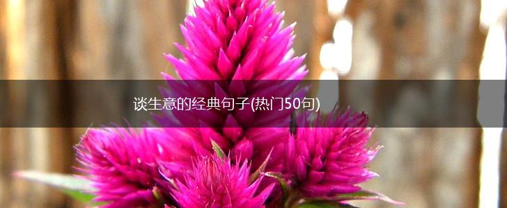 谈生意的经典句子(热门50句),第1张