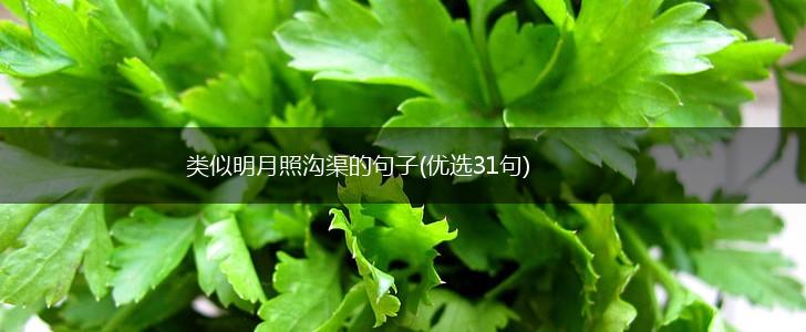 类似明月照沟渠的句子(优选31句),第1张