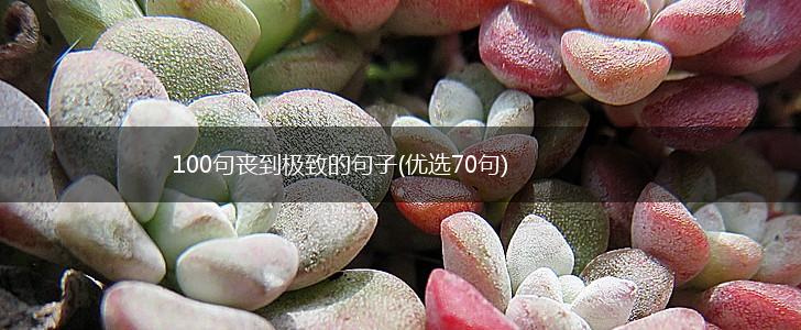 100句丧到极致的句子(优选70句),第1张