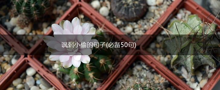 讽刺小偷的句子(必备50句),第1张