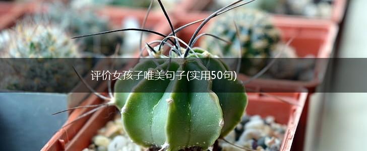 评价女孩子唯美句子(实用50句),第1张