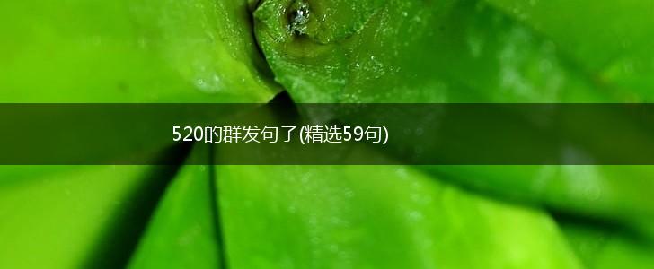 520的群发句子(精选59句),第1张