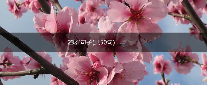 23岁句子(共50句),第1张