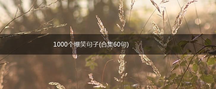 1000个爆笑句子(合集60句),第1张
