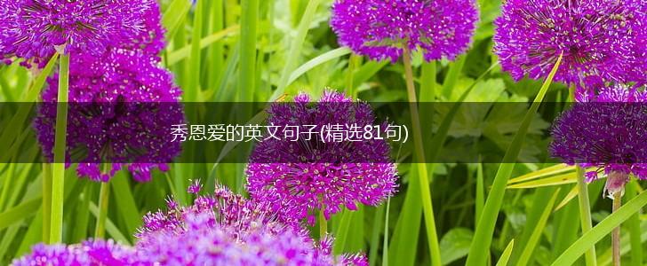 秀恩爱的英文句子(精选81句),第1张