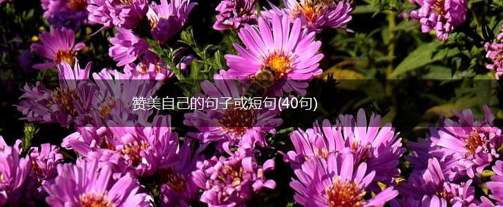 赞美自己的句子或短句(40句),第1张