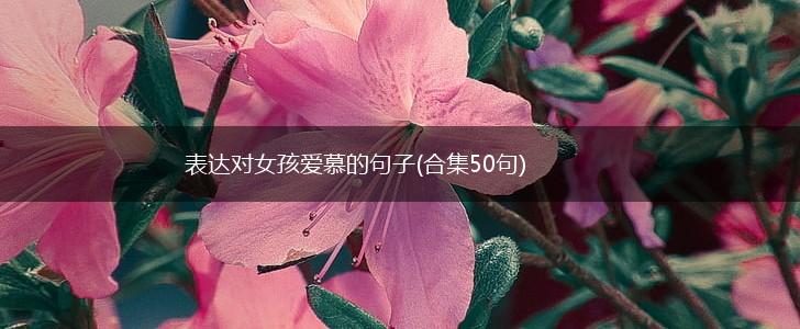 表达对女孩爱慕的句子(合集50句),第1张