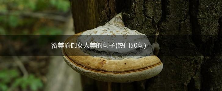 赞美瑜伽女人美的句子(热门50句),第1张