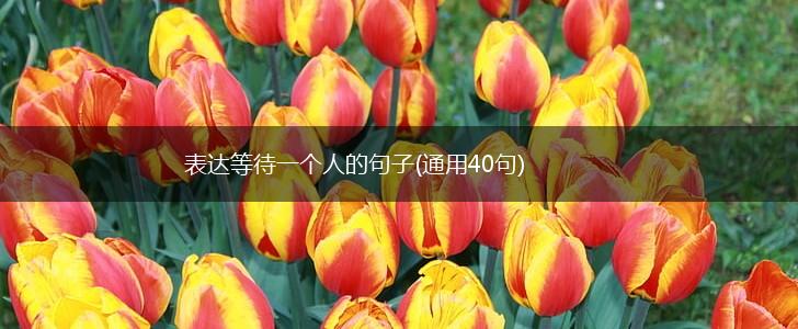 表达等待一个人的句子(通用40句),第1张