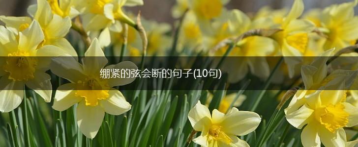 绷紧的弦会断的句子(10句),第1张