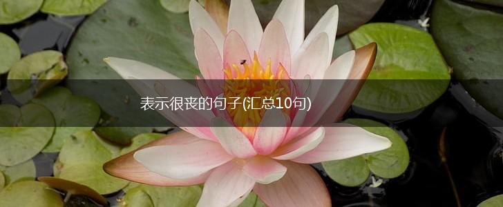 表示很丧的句子(汇总10句),第1张