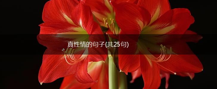 真性情的句子(共25句),第1张