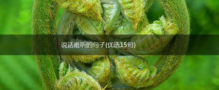 说话难听的句子(优选15句),第1张