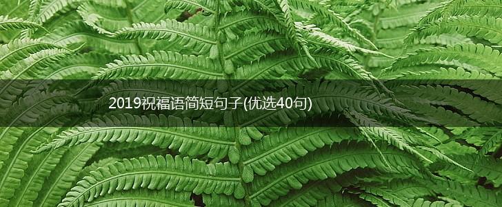 2019祝福语简短句子(优选40句),第1张