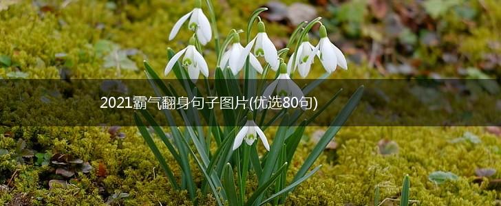 2021霸气翻身句子图片(优选80句),第1张