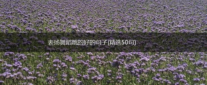 表扬舞蹈跳的好的句子(精选50句),第1张