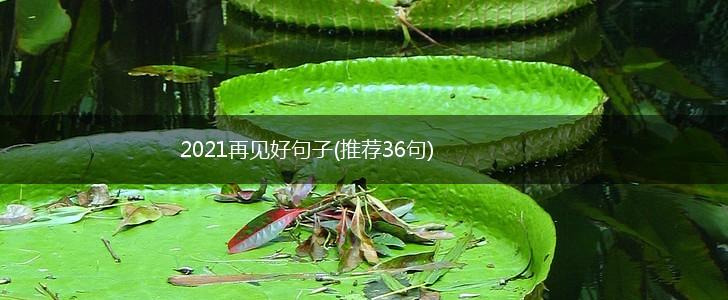 2021再见好句子(推荐36句),第1张