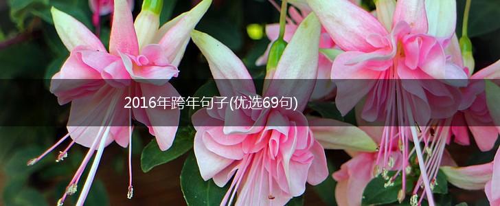 2016年跨年句子(优选69句),第1张