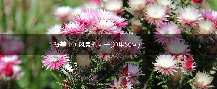 赞美中国风景的句子(通用50句),第1张
