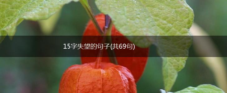 15字失望的句子(共69句),第1张