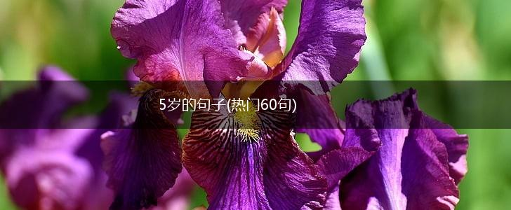5岁的句子(热门60句),第1张
